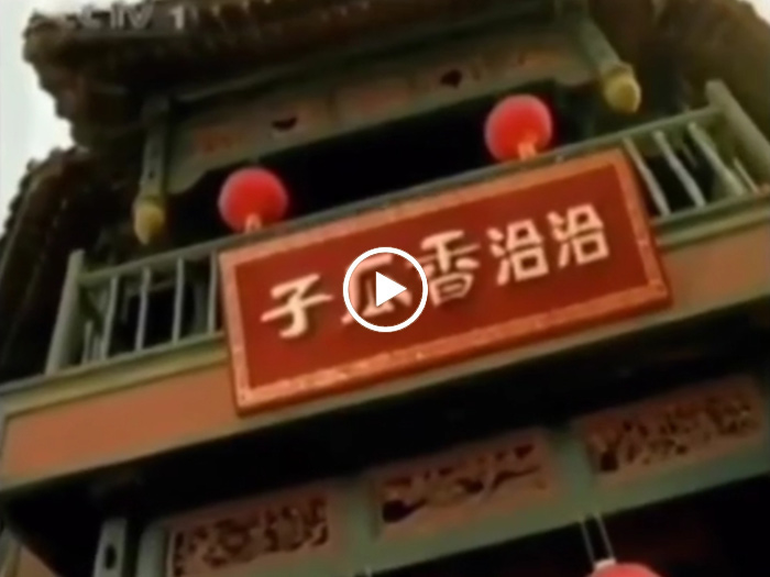 1999年(nian)洽洽香瓜子(zi)